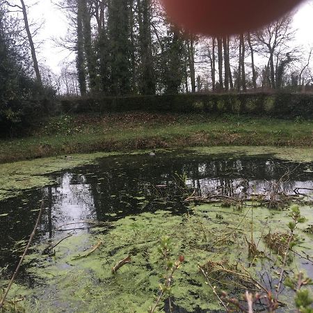 Вилла Le Colombier De Royaumont Saint-Arnoult  Экстерьер фото