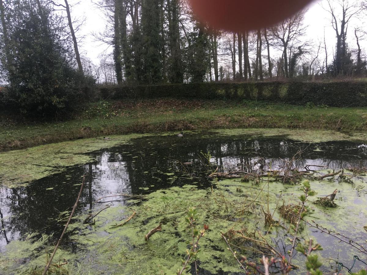 Вилла Le Colombier De Royaumont Saint-Arnoult  Экстерьер фото